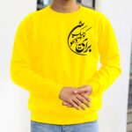 پلیور برای دلخوشی کوچیک - تصویر 4