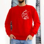 پلیور برای دلخوشی کوچیک - تصویر 3